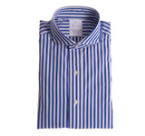 Royal and White Cabana Stripe Shirt